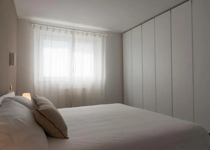 Stardust 奥古斯塔